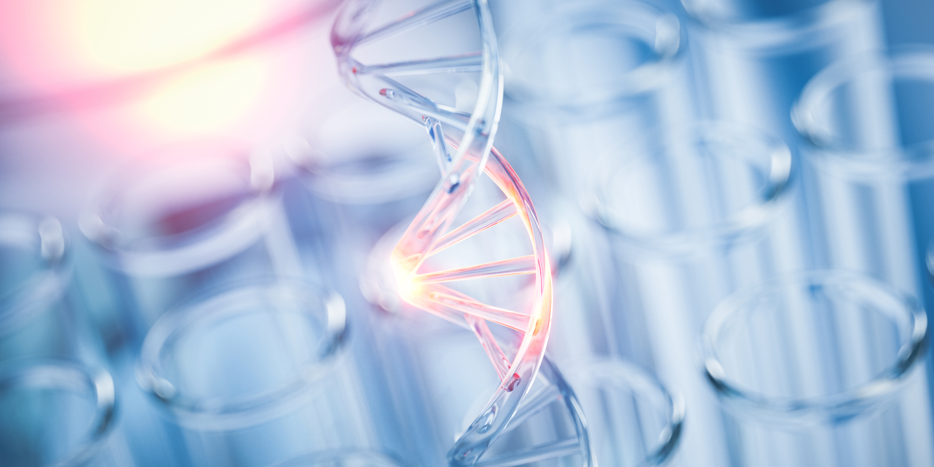 1766712903493633.jpeg 1766712903493633.jpeg